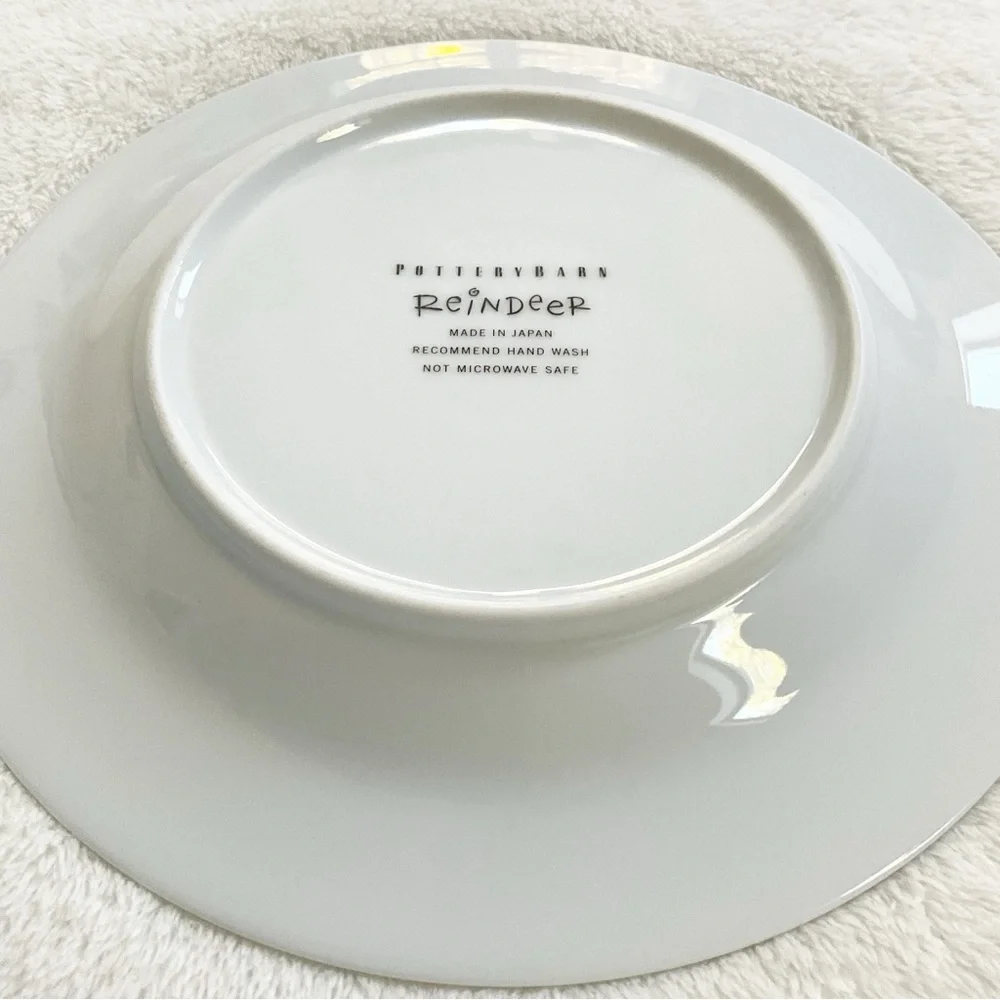 Pottery Barn Comet Reindeer Salad Plate 8.5” Japan Christmas Deer Silver Rim